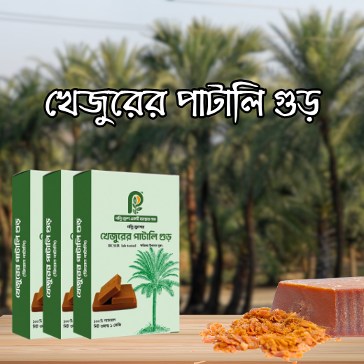 খেজুরের পাটালি গুড়